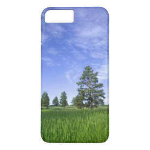 UTAH. USA. Ponderosa pines Pinus ponderosa) & iPhone 8 Plus/7 Plus Case