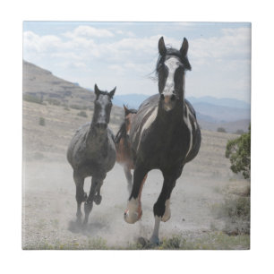 Utah Wild Horses Running Ceramic Tile