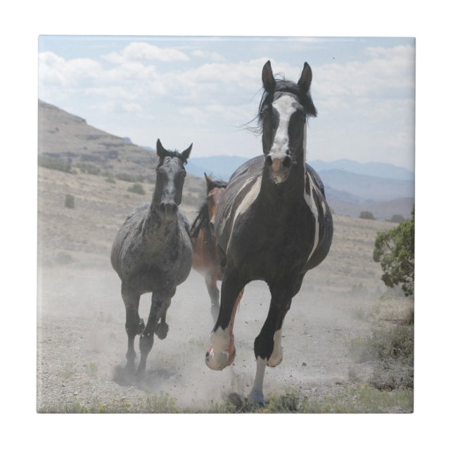 Utah Wild Horses Running Ceramic Tile (Front)