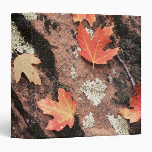 Utah, Zion National Park, Patterns of autumn Binder