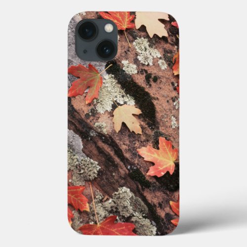 Utah Zion National Park Patterns of autumn iPhone 13 Case