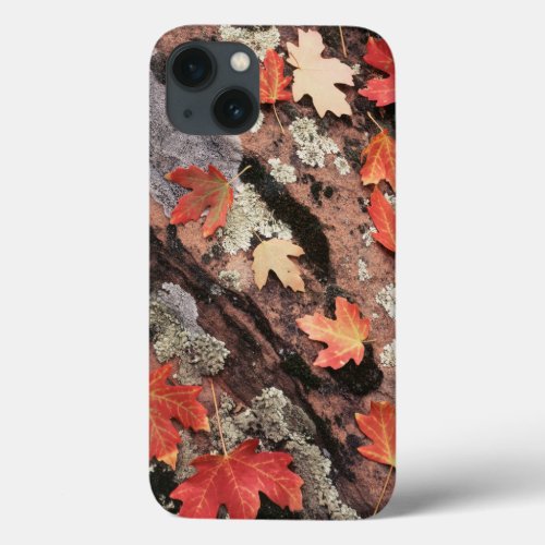 Utah Zion National Park Patterns of autumn iPhone 13 Case