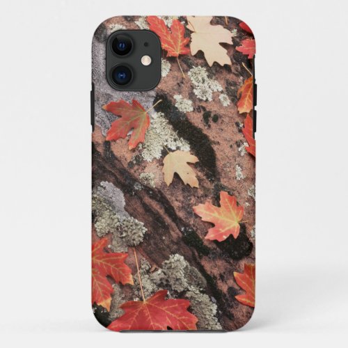 Utah Zion National Park Patterns of autumn iPhone 11 Case