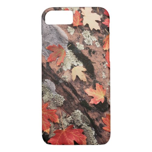 Utah Zion National Park Patterns of autumn iPhone 87 Case