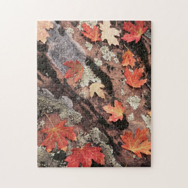 Utah, Zion National Park, Patterns of autumn Jigsaw Puzzle (Vertical)