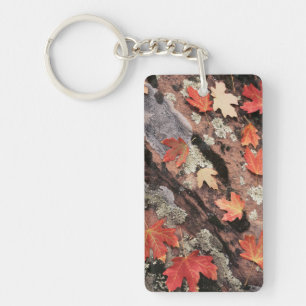 Utah, Zion National Park, Patterns of autumn Keychain
