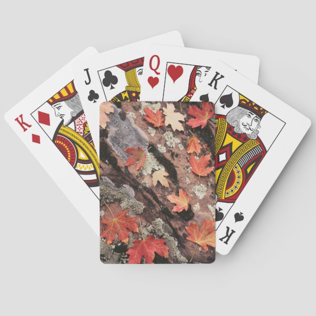 Utah, Zion National Park, Patterns of autumn Poker Cards (Back)