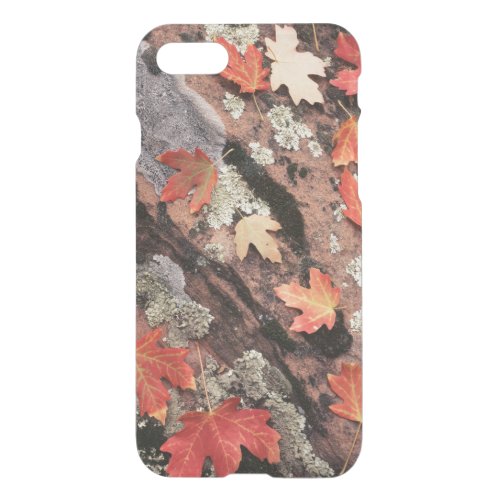 Utah Zion National Park Patterns of autumn iPhone SE87 Case