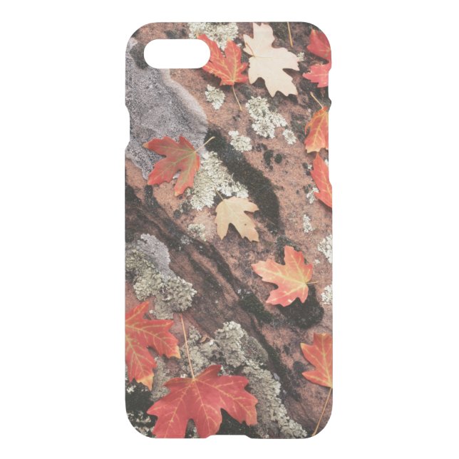 Utah, Zion National Park, Patterns of autumn Uncommon iPhone Case (Back)