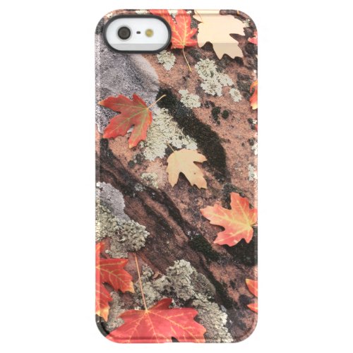 Utah Zion National Park Patterns of autumn Permafrost iPhone SE55s Case