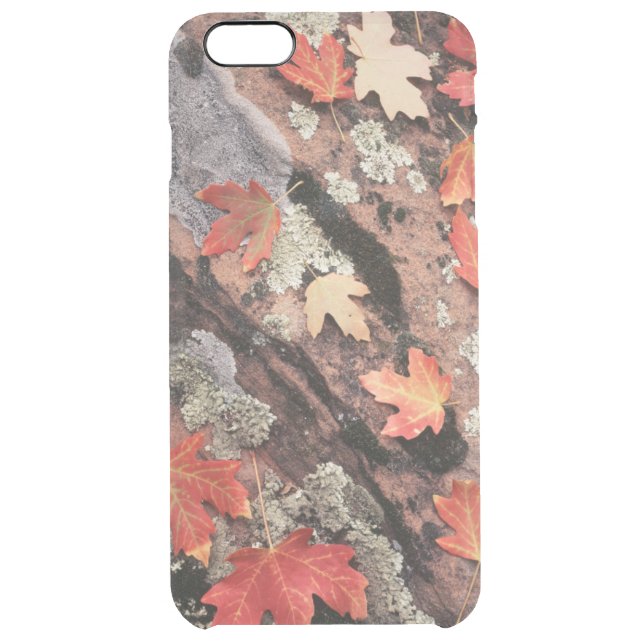 Utah, Zion National Park, Patterns of autumn Uncommon iPhone Case (Back)