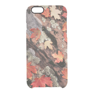 Utah, Zion National Park, Patterns of autumn Clear iPhone 6/6S Case