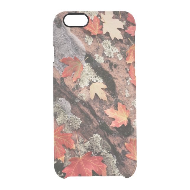 Utah, Zion National Park, Patterns of autumn Uncommon iPhone Case (Back)