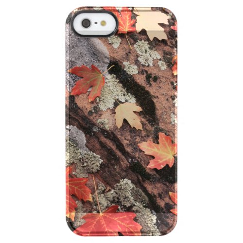 Utah Zion National Park Patterns of autumn Clear iPhone SE55s Case