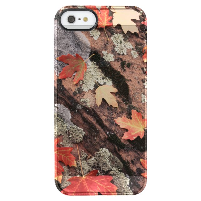 Utah, Zion National Park, Patterns of autumn Uncommon iPhone Case (Back)