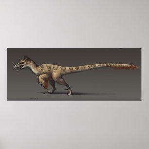 Utahraptor Poster