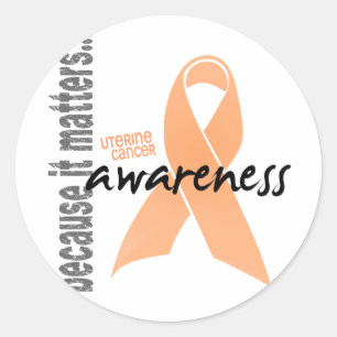 Uterine Cancer Awareness Classic Round Sticker
