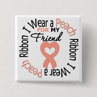 Uterine Cancer I Wear Peach Ribbon For My Friend Button