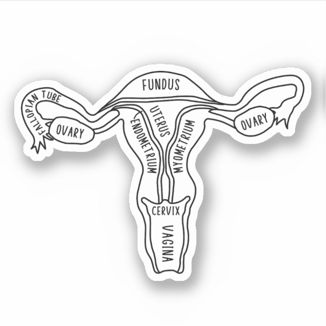Uterus Anatomy, Feminist, Gynecologist, Midwife Sticker (Front)