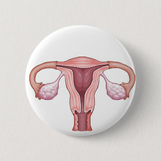 Uterus Button