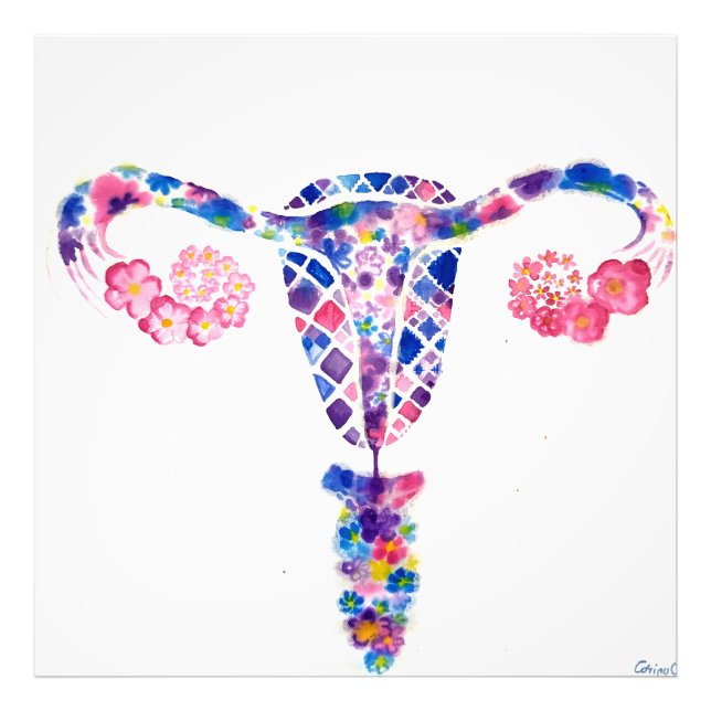 Uterus Photo Print (Front)