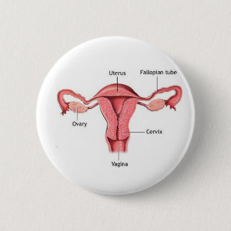 Uterus Pinback Button