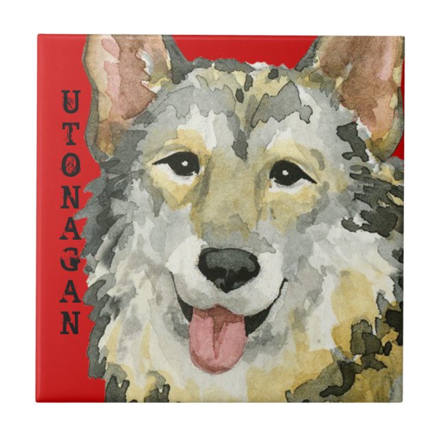 Utonagan Color Block Tile (Front)