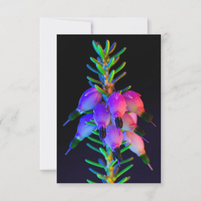 UV Ultra-Violet Flowers Greeting Card (Front)
