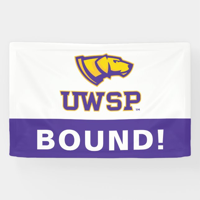 UWSP Pointers Banner (Horizontal)