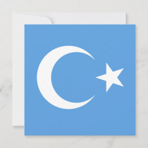 Uyghur/ East Turkestan