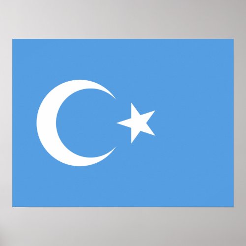 Uyghur East Turkestan Poster