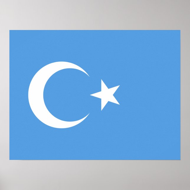 Uyghur/ East Turkestan Poster (Front)
