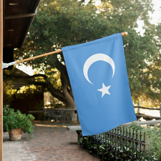 Uyghur Flag of East Turkistan (Uyghuristan) (In SItu)