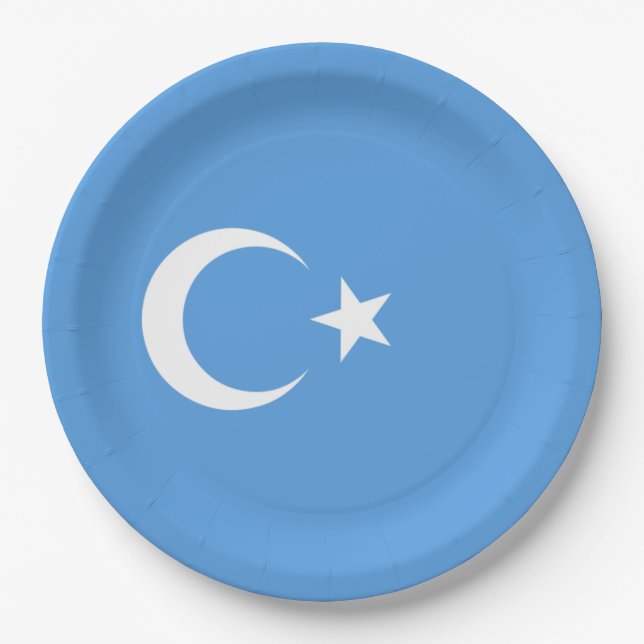 Uyghur Flag of East Turkistan (Uyghuristan) Paper Plates (Front)