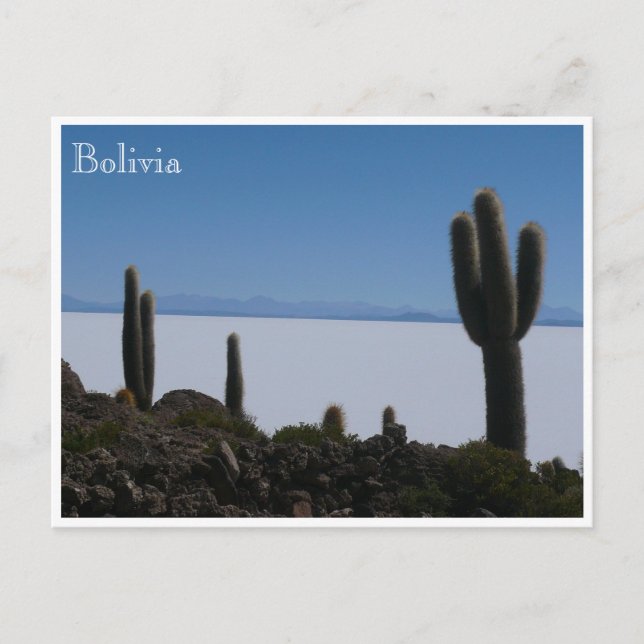uyuni cacti bolivia postcard (Front)