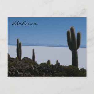 uyuni cacti bolivia postcard