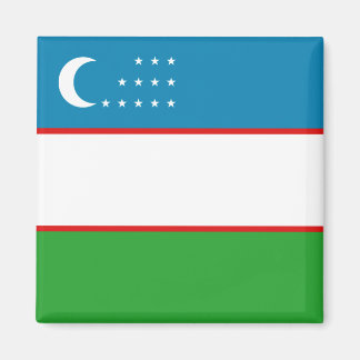 Uzbekistan Flag Magnet