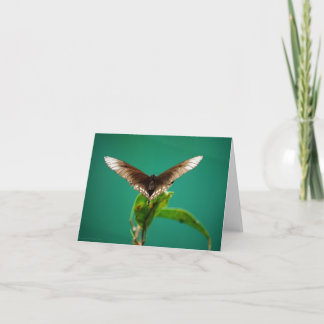 V Card