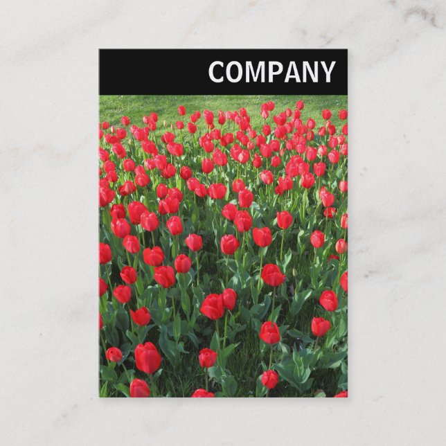V Header - Bed of Red Tulips 01 Business Card (Front)