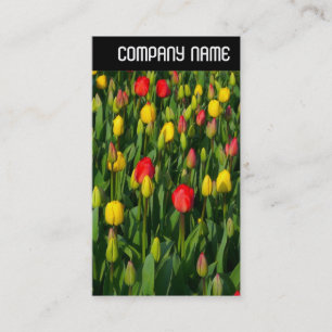 V Header - Colorful Tulips Business Card