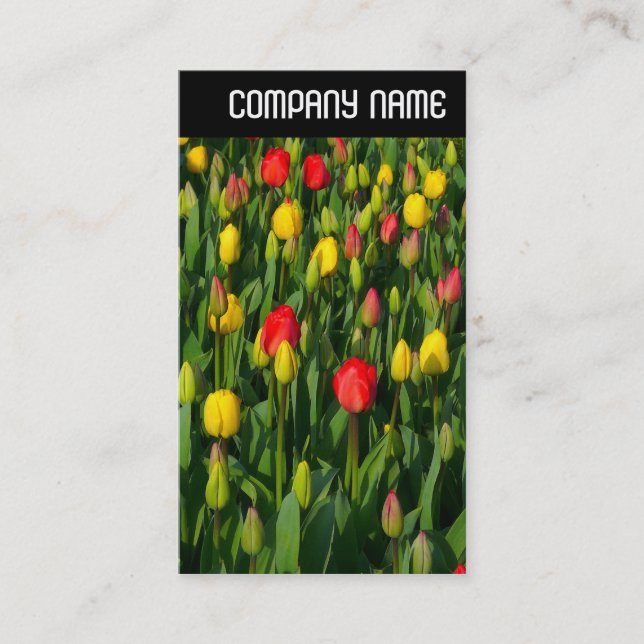 V Header - Colorful Tulips Business Card (Front)