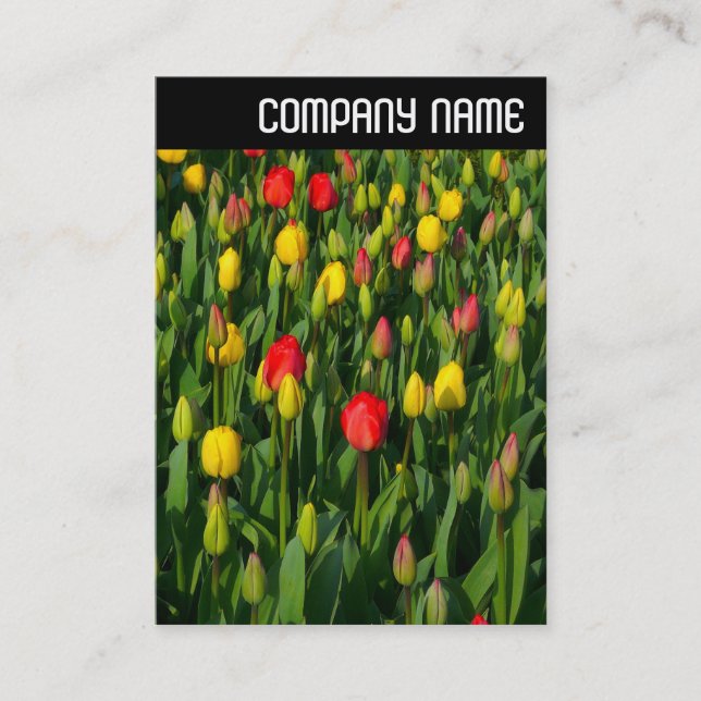 V Header - Colorful Tulips Business Card (Front)