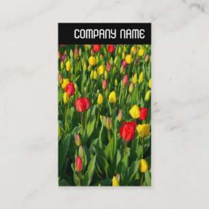 V Header - Colorful Tulips II Business Card