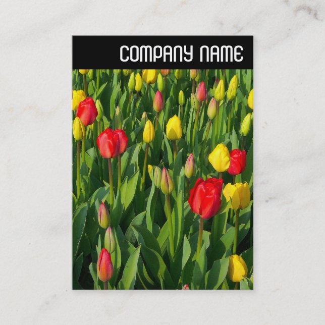 V Header - Colorful Tulips II Business Card (Front)