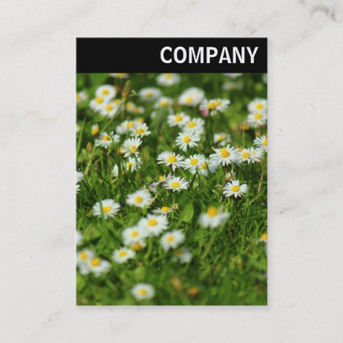 V Header _ Daisy Meadow Business Card