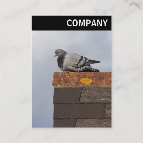 V Header _ Good Morning Pigeon Business Card