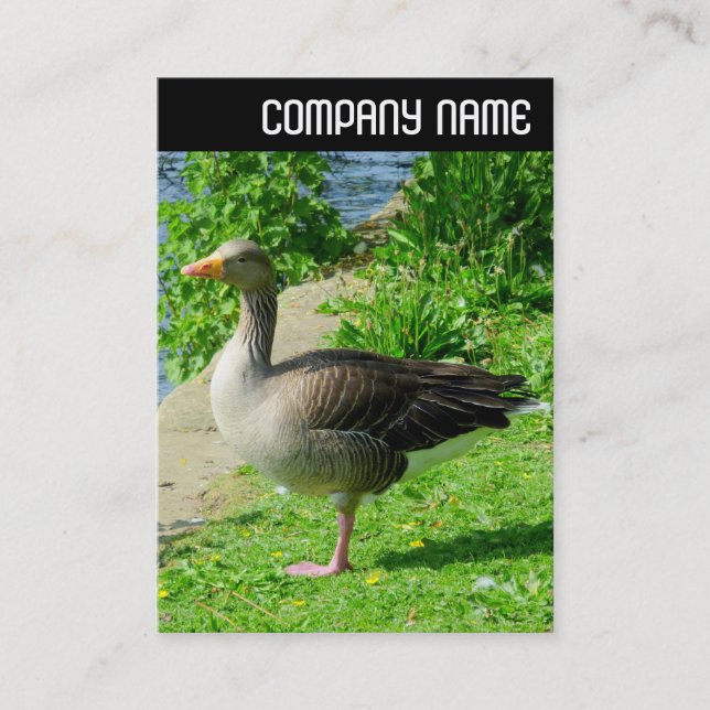 V Header - Greylag Goose Business Card (Front)