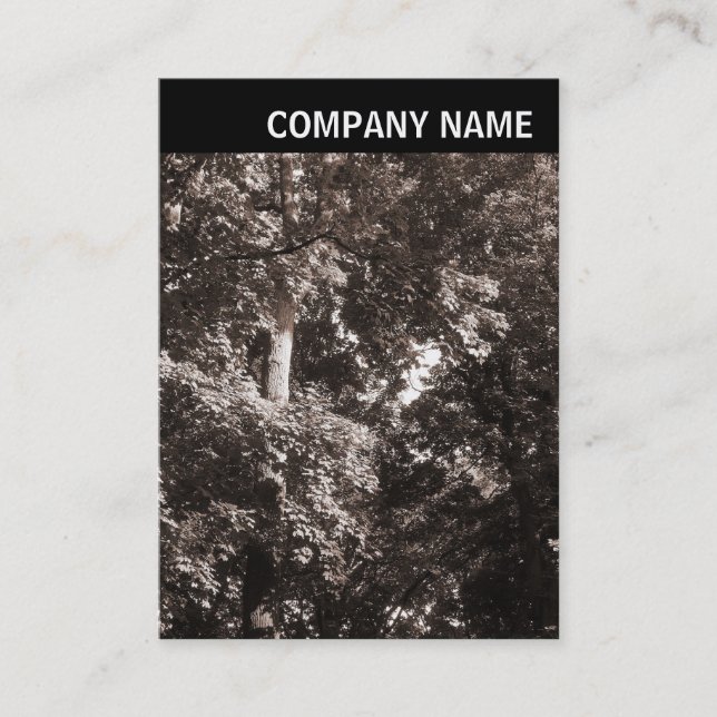 V Header - Image - Plane Trees Business Card (Front)