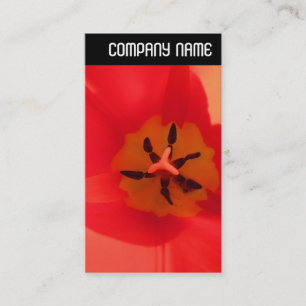 V Header - Inside a Tulip Business Card