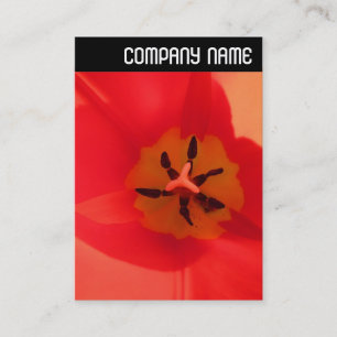 V Header - Inside a Tulip Business Card